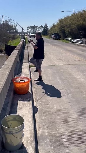 Freshwater fishing in bourg Louisiana. I am starting to like freshwater more and more #saltwatersabtv #lancebilliot #fishing #freshwaterfishing # | Lance Billiot
