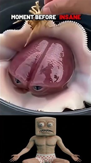 Moment Before Insane☠️ #nobatidao