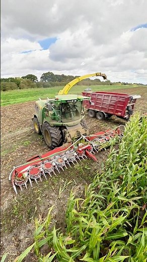 Silage John Deere 9900i Chopper Working In The Field #silage