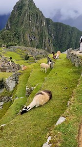 Machu Picchu | Picchu Travel