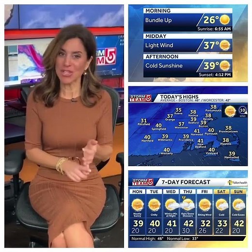 Cindy Fitzgibbon 12/02/2024 WCVB 5 ABC