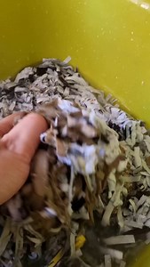 3.8K views · 4.4K reactions | It’s not just paper — it’s Liquid...