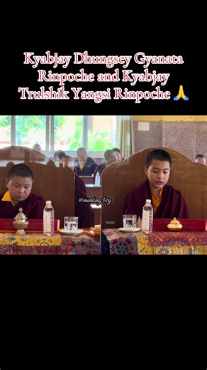 #mindrolingmonastery #viralvideo #bhutanesemuser #fyp | bhutan