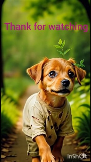 “The Hungry Dog Who Refused to Give Up”#viral #ai #animals #shorts #facts #lucky