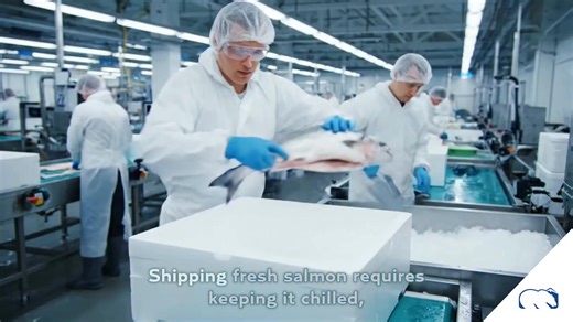 Heavy shipping costs got you down? It's time to lighten the load—literally. Our dry ice solution helps you deliver a better product while paying less for shipping. Stop paying to ship water weight and start saving money. Learn more at: https://hubs.li/Q03Gg6R90 Contact Cold Jet today! #seafood #logistics #coldchain #export #dryiceproduction | Cold Jet | Facebook