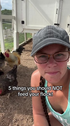 5 Foods You Should NEVER Feed Your Chickens