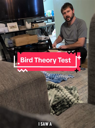 Bird Theory Test: Daily Bird Observations