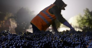 Devastating Impact on Undocumented Farmworkers From Northern California Fires Explored in Short Documentary, All That Remains. - Truly CA