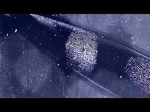 New nano-material lights up old fingerprints in CSI breakthrough | REUTERS