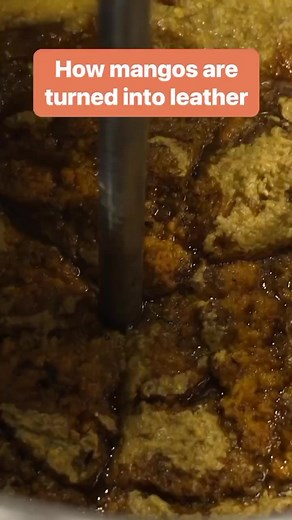We visited the headquarters of Fruit Leather in the Netherlands to see how mangos are turned into vegan leather. #VeganLeather #Mango #InsiderBusiness | Business Insider Africa