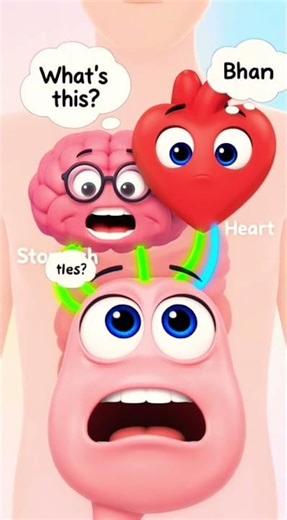 Your Organs When You’re Pregnant 🤰 | How Pregnancy Affects Your .