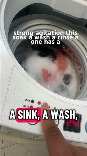 Apartment must have: portable washer/dryer