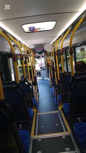 Lady Bus Driver #bus #australiadiaries #australia #shorts