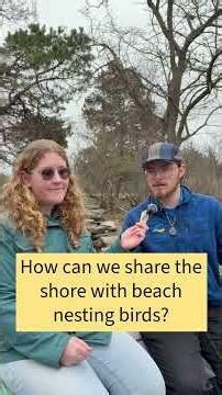 Ask the Naturalist: Sharing the Shore