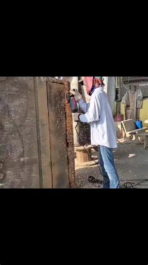 วิดีโอของ Tiger and never die (@tiger.and.never.di) พร้อมเพลง เสียงต้นฉบับ - Tiger and never die