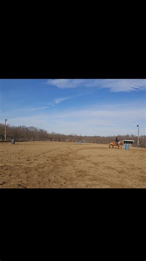 Laramie aka Rachet Barbie coming back into action 👱‍♀️ I'm proud of her for putting in effort, some focus and moving forward today! Rachet Barbie is definitely like a box of chocolates, I never know what I'm going to get on a day to day basis. The one thing that stays consistent is her kindness and love for every person and horse around her 🩷 | Becca's Barrel Horses