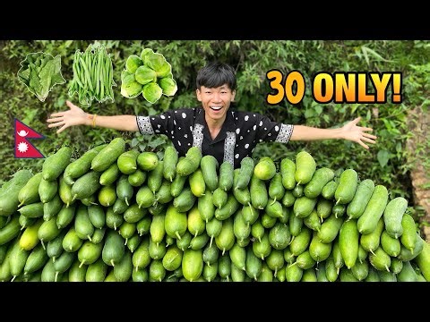 100% Organic Cucumber | The Original Taste of Nepal! 🥒😲
