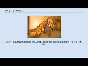 アルシノイテリウム科
