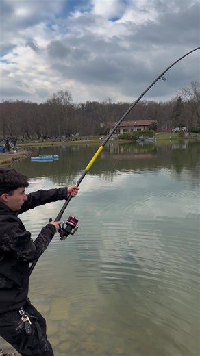 Exploring the Fascinating World of Sturgeon Species