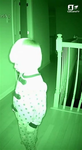 Living Gate: Cat Positions Itself on Stairs to Halt Sleepwalking Child | Night Vision CCTV 😴 #Shorts