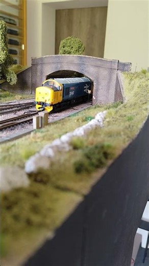 Bachmann Class 37