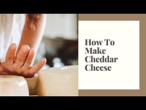 How To Make Cheddar Cheese