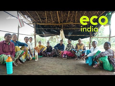 Eco India: How Maharashtra's forestry models are helping make conservation profitable for its locals