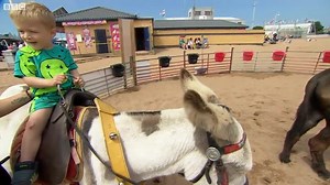 302K views · 6K reactions | Donkey owner defends maximum weight rule for young riders in Skegness | The Lincolnite | Facebook