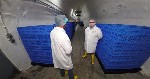 How these southern Minnesota caves went from making beer to cheese