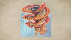 19K views · 354 reactions | Watch the Helicoradian spiral to life in this week's #FromSketchtoScreen | Avatar | Facebook