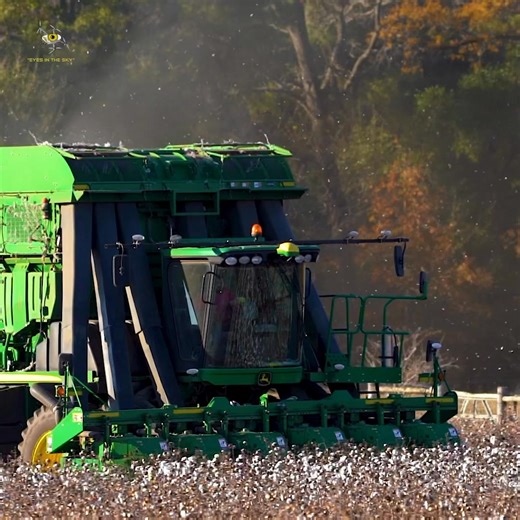 Sedrick Hicks on Instagram: "When there was cotton! Sony/DJI Blend Camera & Drone Driver/Operator Colby Thomas K & E Farms #dji #DronePhotography #sonyalpha #johndeere #cotton"