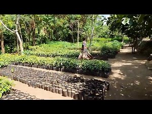 Plant-for-Ethiopia: Discover the Konso nursery!