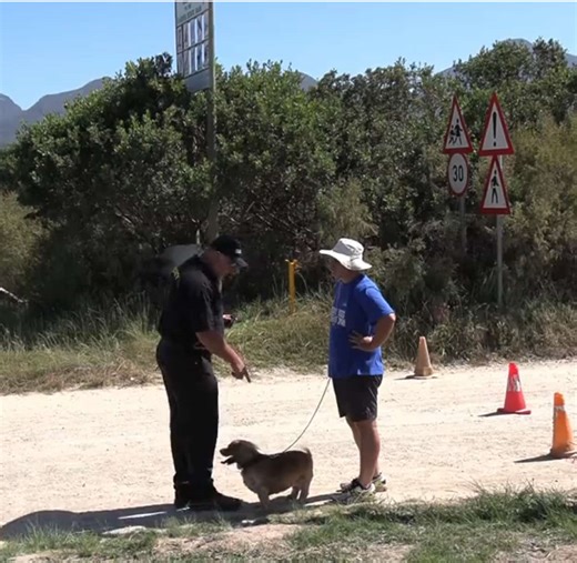 Hilarious Dog Urine Test Prank Video