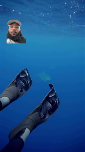 13K views · 13 reactions | Middle of the ocean shark #react #reactions #reaction | The Jamel Show | Facebook