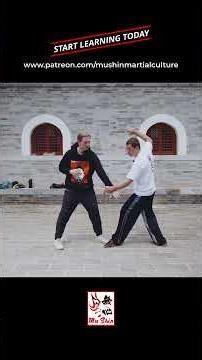 Strike like a Serpent - Snake Style Kung Fu #xingyiquan