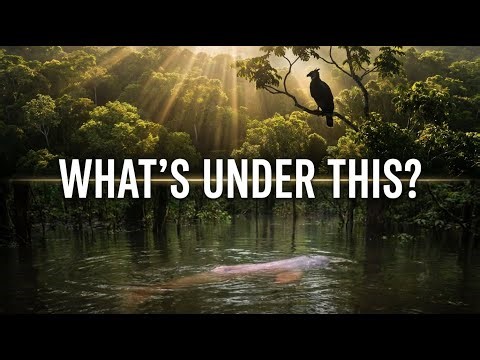 The Amazon’s Hidden Layers: Canopy, Flooded Forest, and Underground Cities