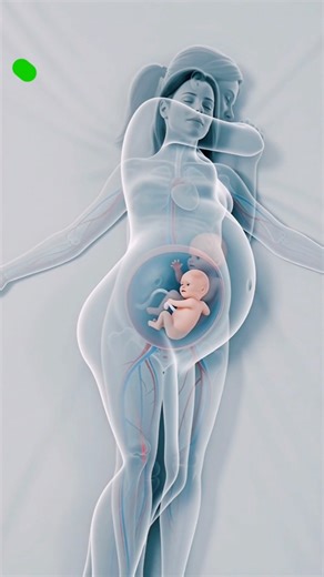 Best Sleep Position During Pregnancy 🤰 | Back vs Side Sleeping Explained #shorts