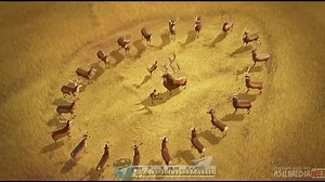 Ov Mavsumi 1 480p O'zbek tilida (asilmedia.net)