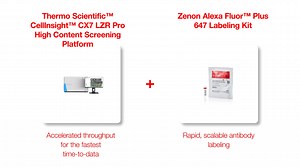 Perfect Pairings: CellInsight CX7 LZR Pro + Zenon Alexa Fluor Plus Labeling Kit - Scientific Videos | Thermo Fisher Scientific US