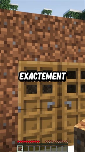 This Minecraft server is definitely worth trying!