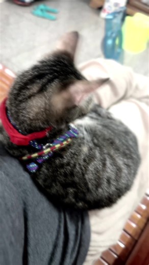 香香一點都不香 on TikTok