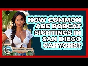 How Common Are Bobcat Sightings In San Diego Canyons?