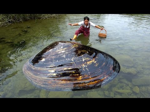 I'm having fun digging pearls here. I've finished my morning work and gone back