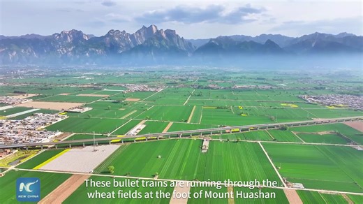 15K views · 96 reactions | When the bullet train glides through wheat fields, a breathtaking vision of sustainable development occurs in northwest China's Shaanxi. | Xinhua Culture&Travel | Facebook