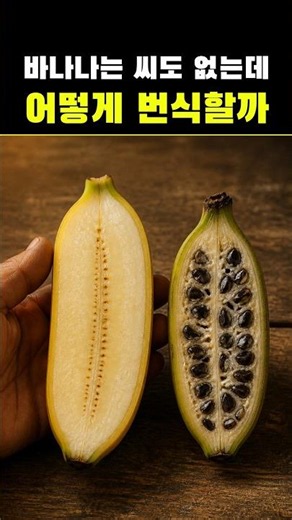 How Do Bananas Reproduce Without Seeds?