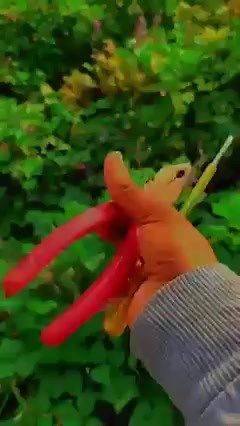 5.3K views · 69 reactions | Electrical And Electronics World on Reels | Facebook