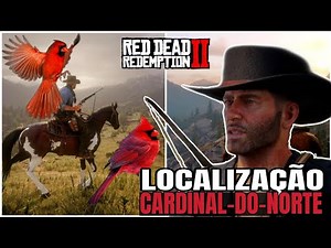 Cardinal Do Norte | Localização - Red dead redemption 2