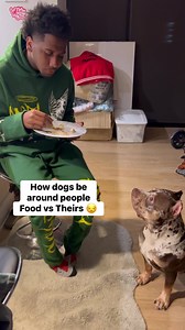 It’s cool when they do it 🤔 it’s problem when we do it luv um 😂 #dogs #reelsvideo #petlovers #viralreels | Thatboyfunny