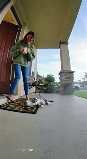 |Epic Capture #shorts #cat