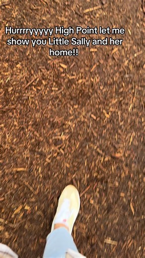 Little Sally!!! LOCATION ADDRESS 726 West Grimes Ave High Point .. park in the old lot and walk across to the mulch path and itll guide you down a path to little sally!! #littlesally #thomasdambo #thomasdambotrolls #fyp #fypシ゚
